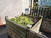 Compost heap