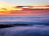 Mist in valley