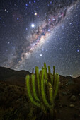 Milky way rising above Atacama desert, Chile