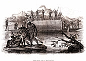 Boats in the Magdalena River, Colombia, 19th century illustration