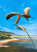 Ludodactylus and Arthurdactylus pterosaurs, illustration