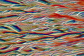 Paracetamol crystals, light micrograph