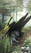 Tiarajudens sabre-toothed herbivore, illustration