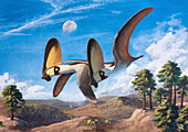 Tupandactylus navigans pterosaurs, illustration