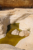 Peres Waterholes, Judean Desert, Israel