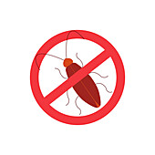 Cockroach pest sign, conceptual illustration