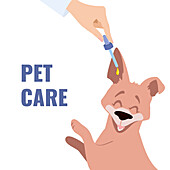 Dog ear infection treatment, illustration