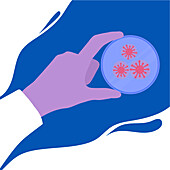 Bacteria in a petri dish, conceptual illustration