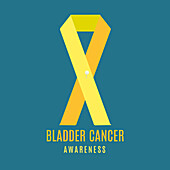 Bladder cancer awareness ribbon, conceptual illustration