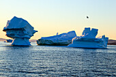 Iceberg, Disko Bay, Greenland