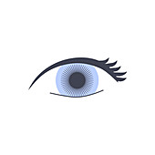 Blue eye, illustration