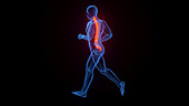 Back pain while jogging, illustration