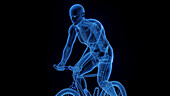 Man cycling, illustration