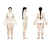 Short female body, illustration