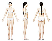 Tall female body, illustration