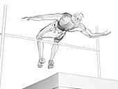 High jumper, illustration