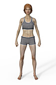 Female ectomorph body type, illustration