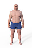 Male endomorph body type, illustration