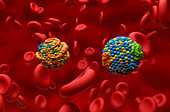 High and low density lipoproteins, illustration