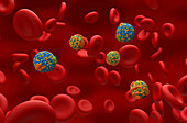 High and low density lipoproteins, illustration