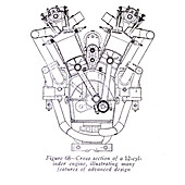 Twelve cylinder engine, illustration