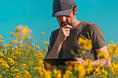 Farmer using tablet in rapeseed field