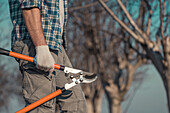 Man with pruning shears