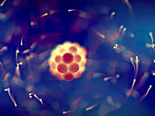 Atomic structure, conceptual illustration