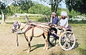 Native cart, Benares