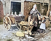 Belgian peasant woman and her draught dogs