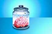 Human brain in glass jar, illustration