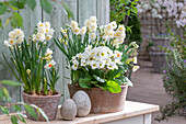 Narzissen (Narcissus) 'Bridal Crown' und 'Geranium', Primel (Primula) in Töpfen, Ostereierskulpturen auf der Terrasse