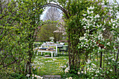 Set table in the garden for Easter breakfast with Easter nest and colored eggs, bouquet of flowers, basket with Easter eggs in the meadow, seen through archway with climbing plants