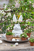 Daisies (Bellis) in small flower pots, hen's eggs and Easter bunny figurine with flower wreath on silver plate