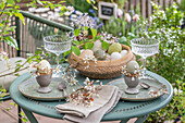 Gedeckter Tisch mit Ostereiern mit Naturfarben gefärbt in Eierbechern, dekoriert mit Blütenzweigen der Felsenbirne und Birkenzweige auf Terassentisch