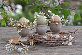 mit Naturfarben gefärbte Ostereier in Eierbechern, dekoriert mit Blütenzweigen der Felsenbirne und Birkenzweige