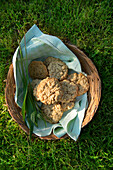 Haferflocken-Spitzwegerich-Cookies