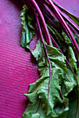 Fresh beetroot on a pink background