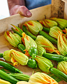 Zucchini mit Zucchiniblüten