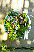 Gemischter Salat mit gegrilltem Oktopus und Kräutern