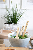 Ceramic bowl with salad and labelled wooden utensils, plant in basket in the background