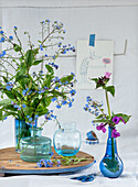 Forget-me-nots (Myosotis) in blue glass vases on wooden panel