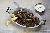 Griechische Dolmades