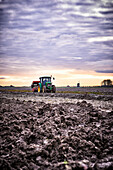 Tractor harvesting potatoes in the Netherlands