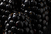 Macro photo of blackberries