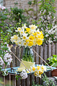 Bouquet of daffodils 'Ice King', 'Las Vegas', 'Mount Hood' on tray hanging on garden fence