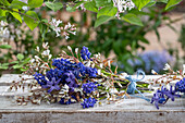 Bouquet of rock pears (Amelanchier), grape hyacinths (Muscari) and hyacinths (Hyacinthus) lying on a bench