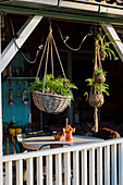 Hanging plant baskets on veranda next to wooden table and chairs