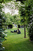 Woman playing with dogs on lawn in spacious garden