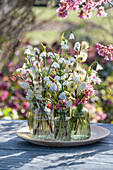 Small bouquets of grape hyacinth 'Mountain Lady', spring knot flower 'Gravetye Giant' and pussy willow on patio table